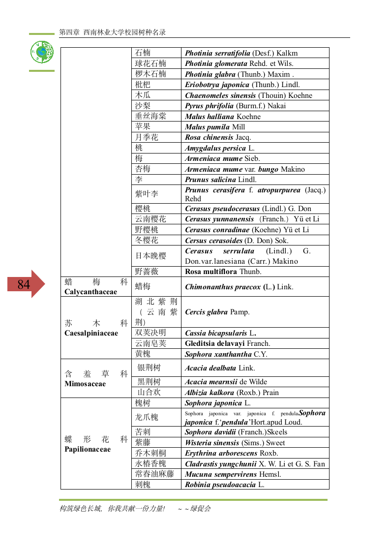 西南林业大学校园树种汇编第4页