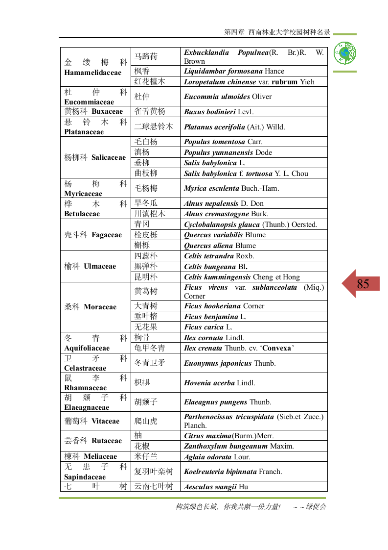 西南林业大学校园树种汇编第5页