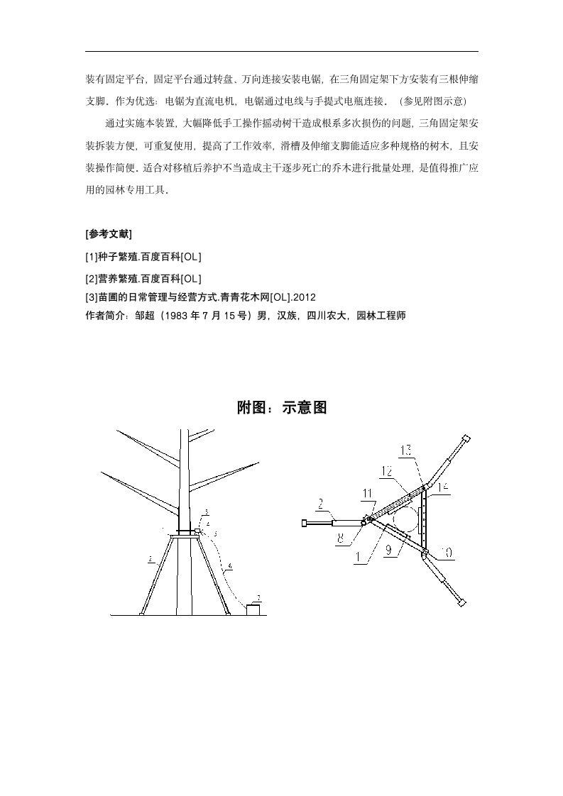 园林乔木培育现状及改良工具.doc第4页