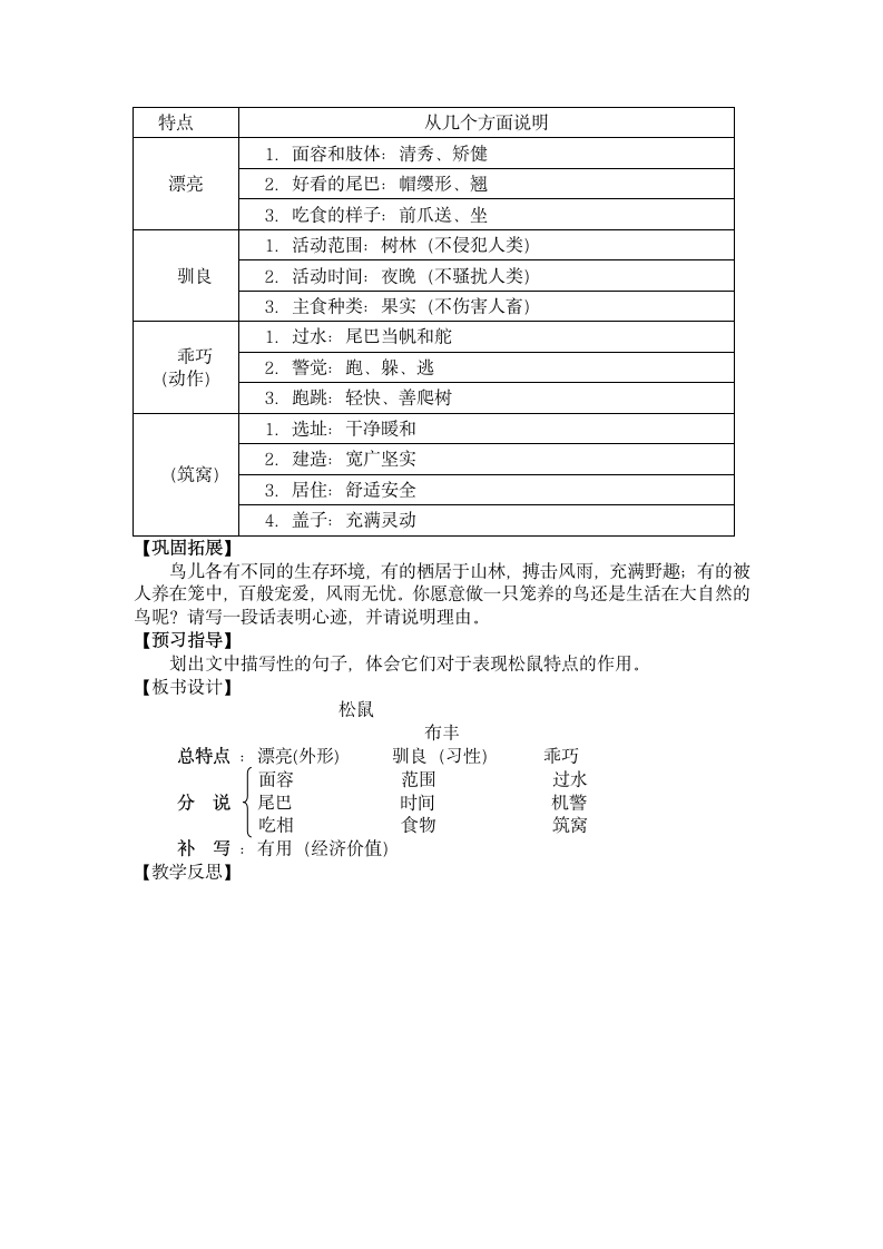 15 松鼠 教案.doc第2页