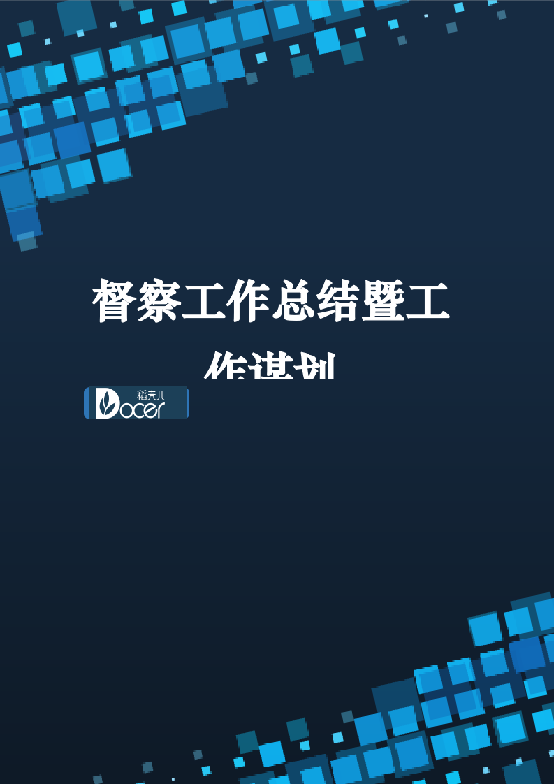 督察工作总结暨工作谋划.docx