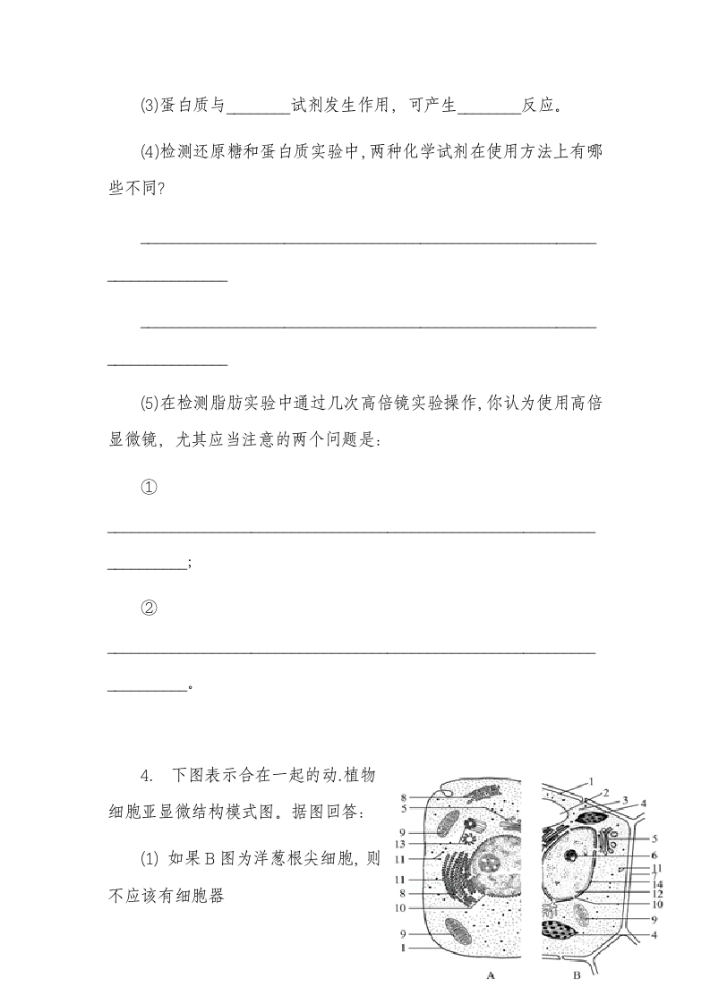 高中生物学科考试卷.docx第12页