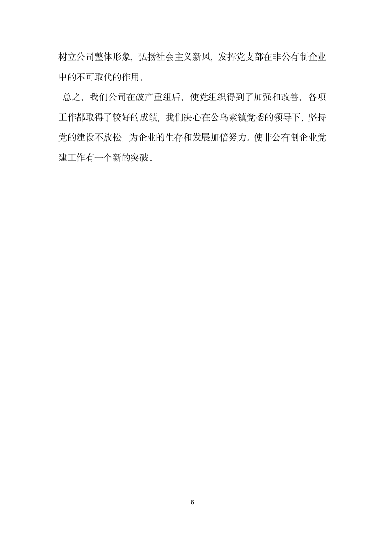 非公有制企业党建先进材料.doc第6页