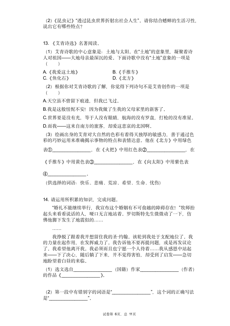 2021年中考语文三轮冲刺考点专练：名著导读（有答案）.doc第6页