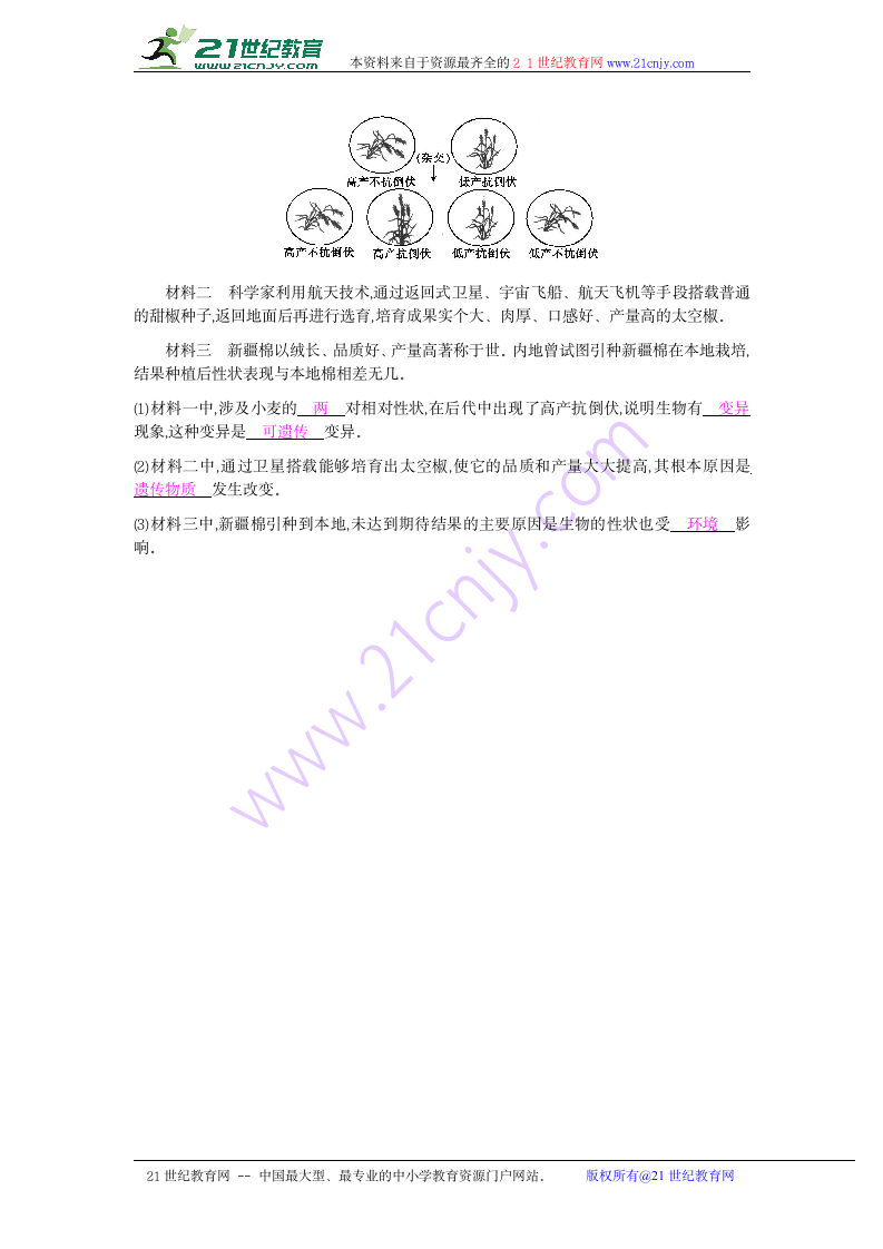 6.2.2变异 学案.doc第3页