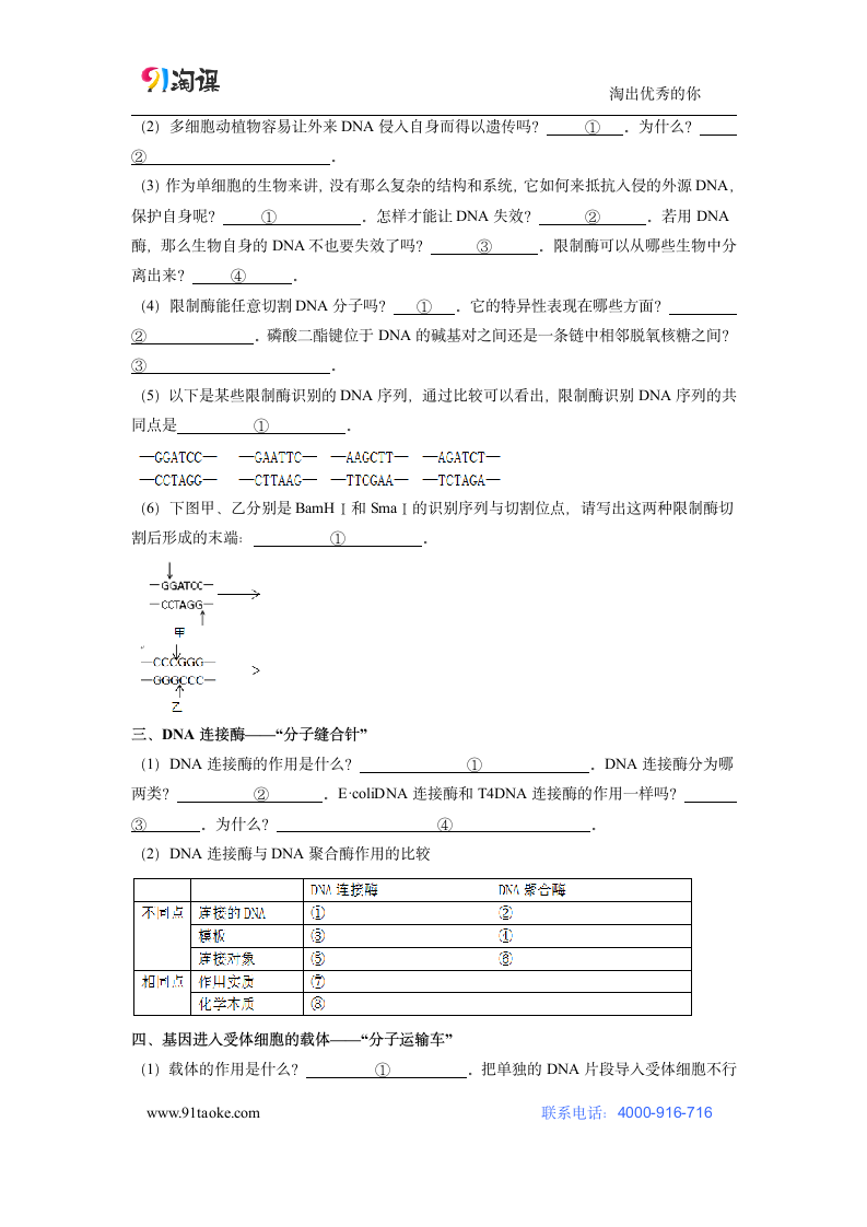 生物-人教版-选修3-学案12：1.1 DNA重组技术的基本工具.doc-专题1 基因工程-学案.doc第2页