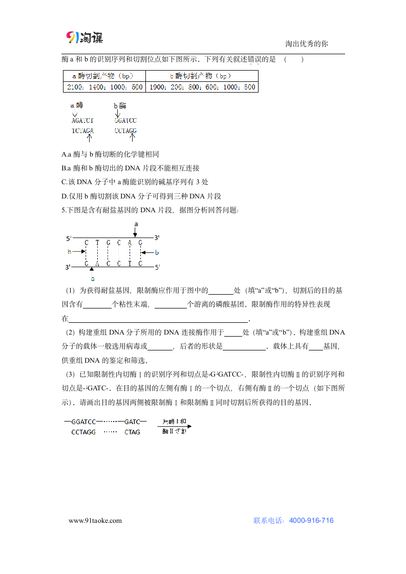 生物-人教版-选修3-学案12：1.1 DNA重组技术的基本工具.doc-专题1 基因工程-学案.doc第4页