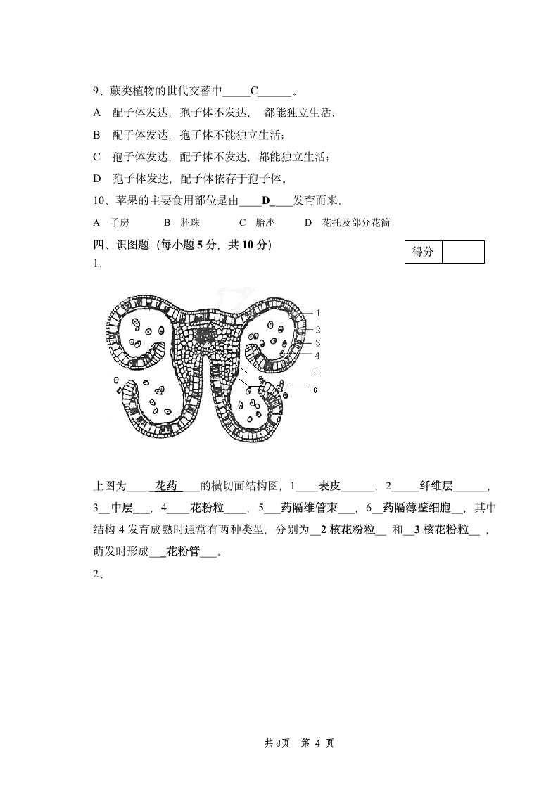 浙江农林大学植物学样卷第4页