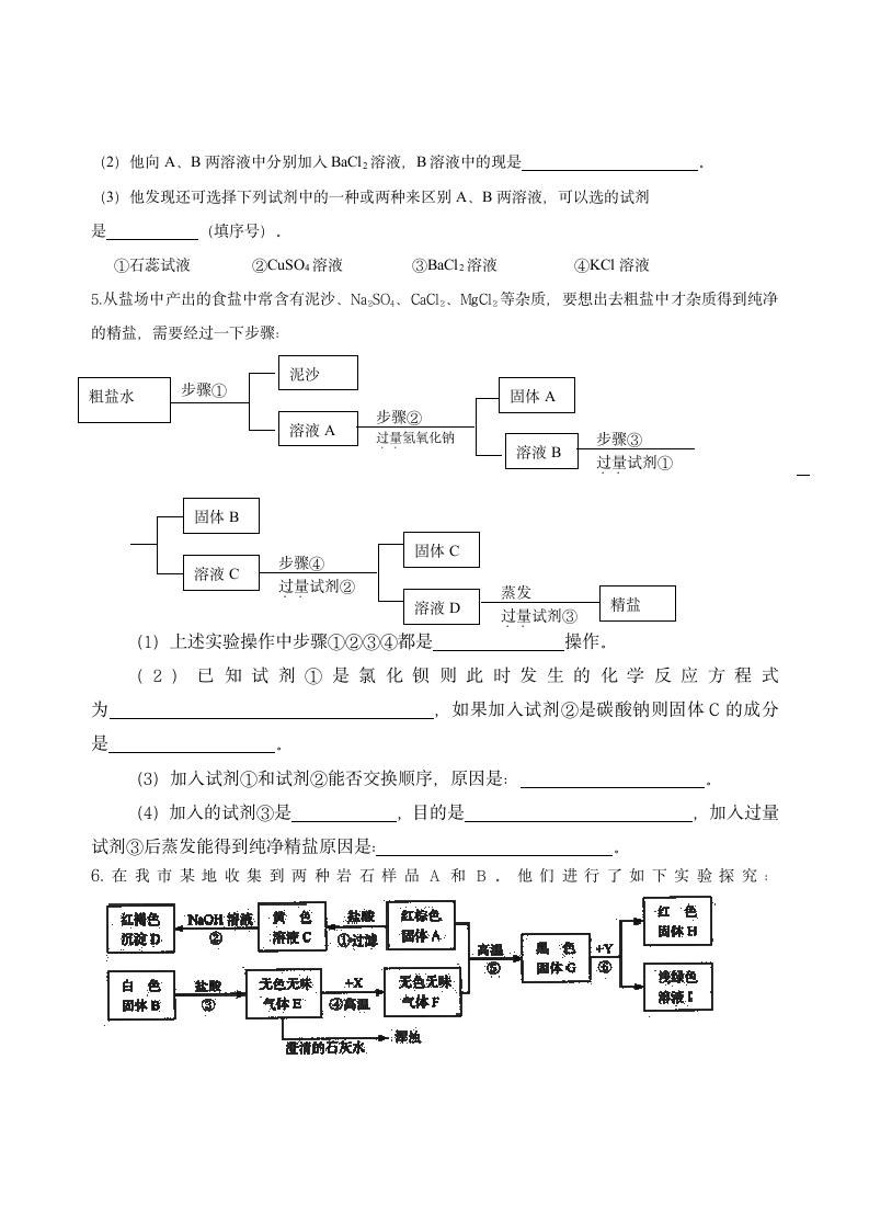 酸碱盐复习学案.doc第4页