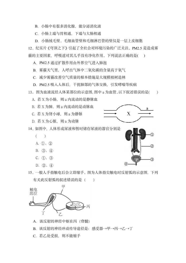 人教版 八年级生物下册第一次月考试卷（含答案）.doc第3页