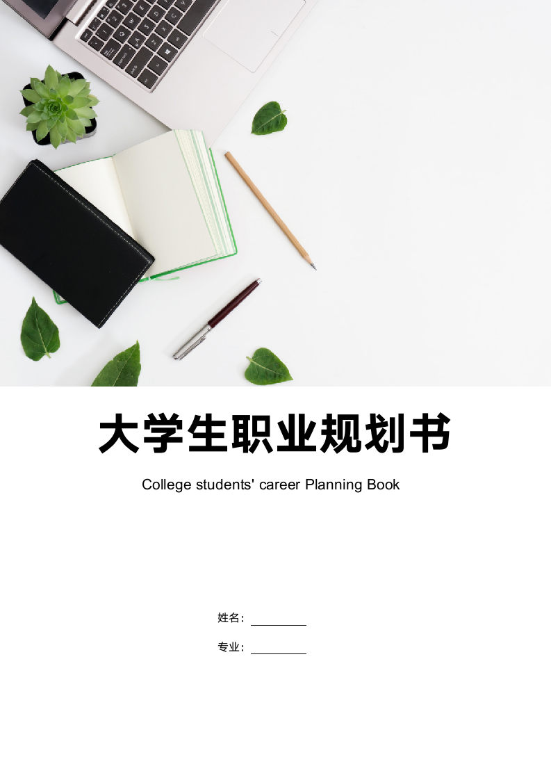 大学生职业生涯规划.doc