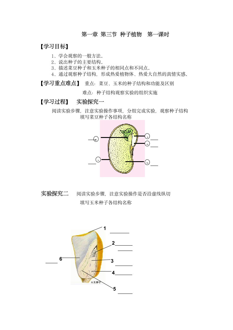 种子植物学案.doc第1页