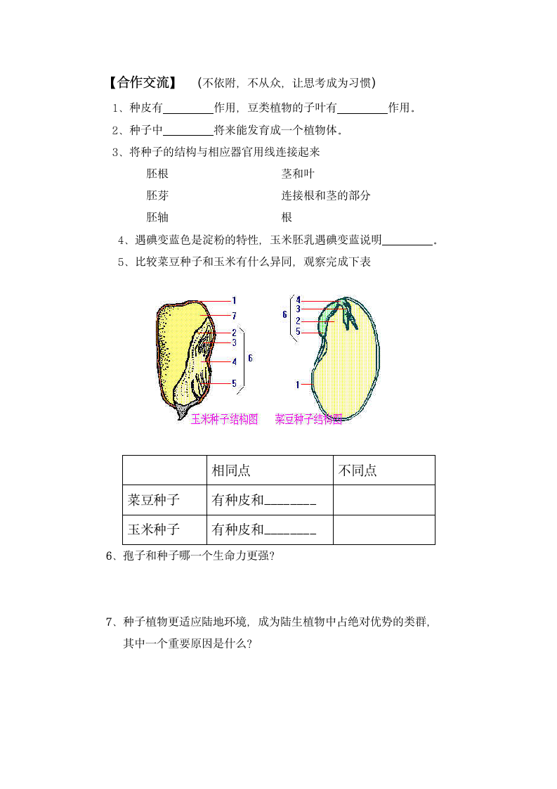 种子植物学案.doc第2页