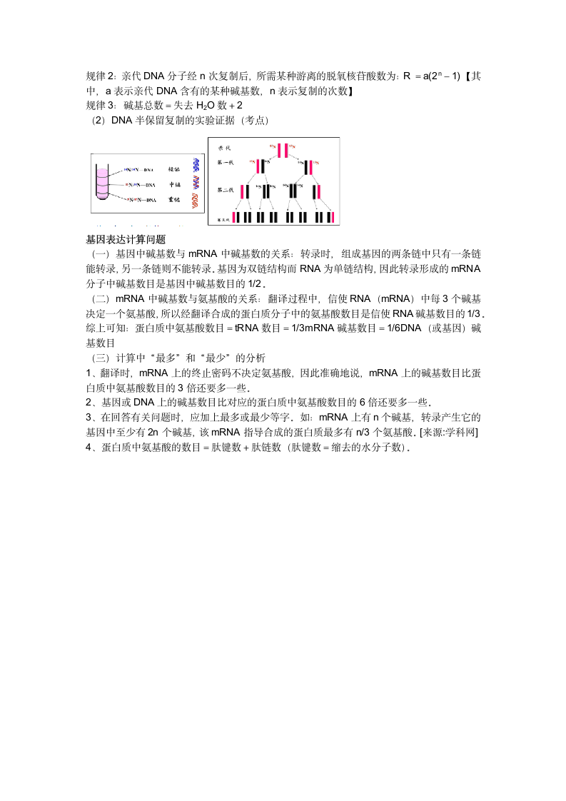 高中生物必修二知识点总结.docx第2页