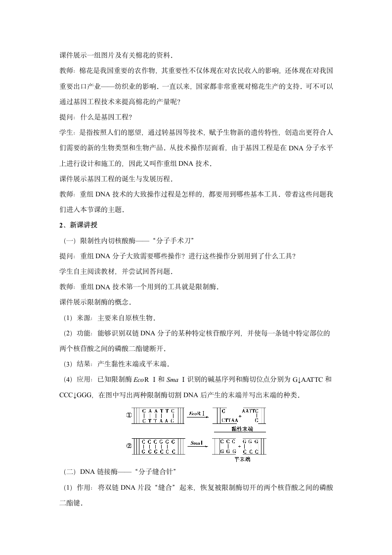 3.1.1重组DNA技术的基本工具 教案-高中生物人教版（2019）选择性必修三.doc第2页