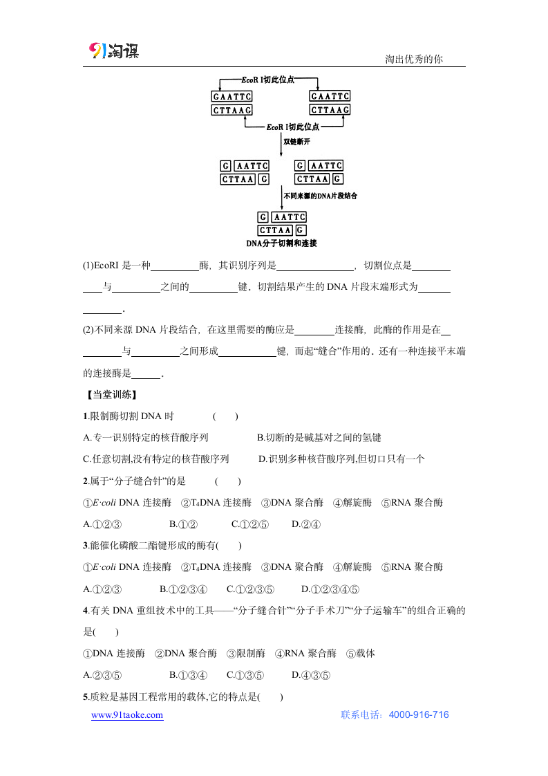 生物-人教版-选修3-学案9：1.1 DNA重组技术的基本工具.docx-专题1 基因工程-学案.docx第3页