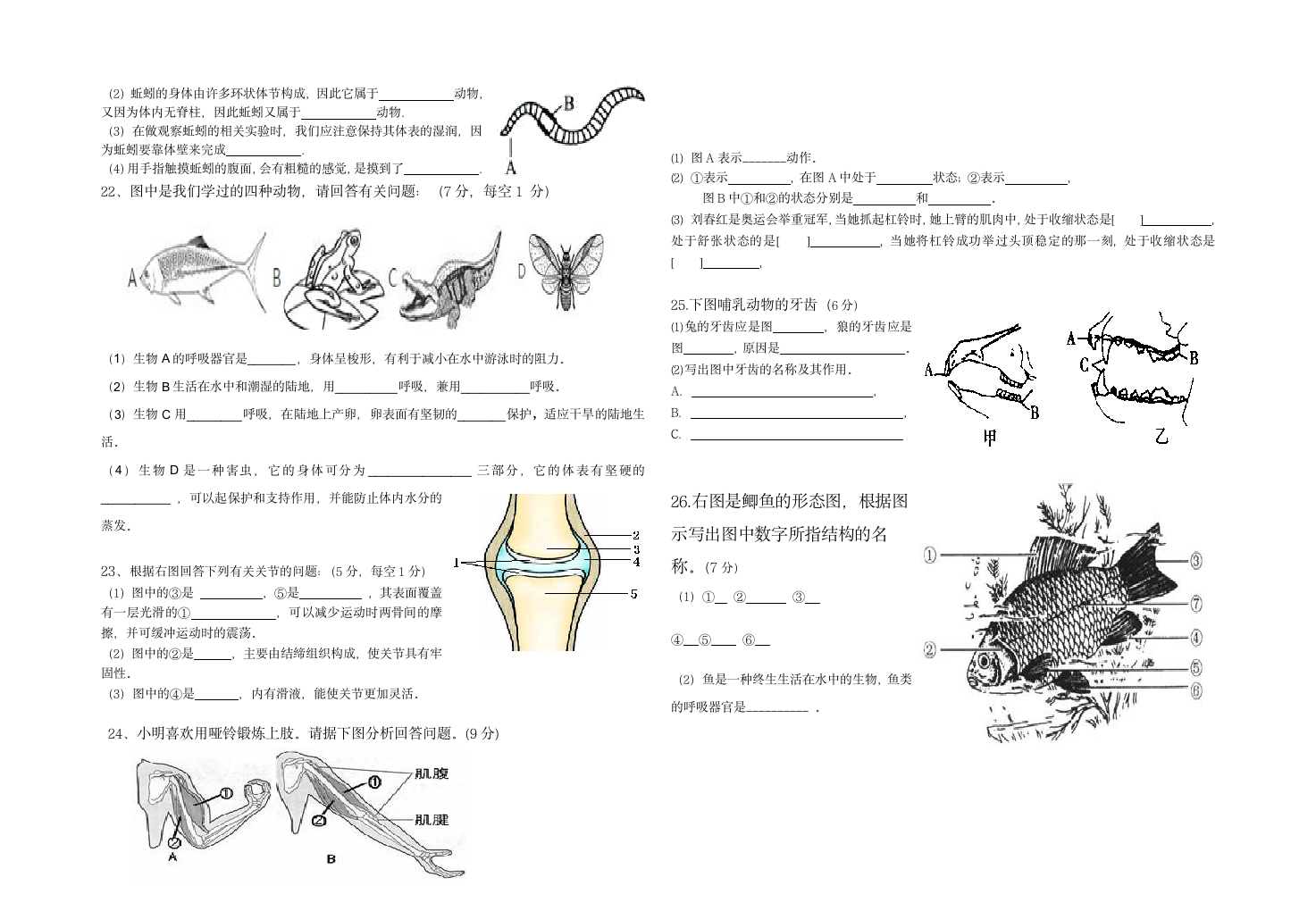 2022-2023学年八年级生物第一次月考试卷试卷（无答案）.doc第2页