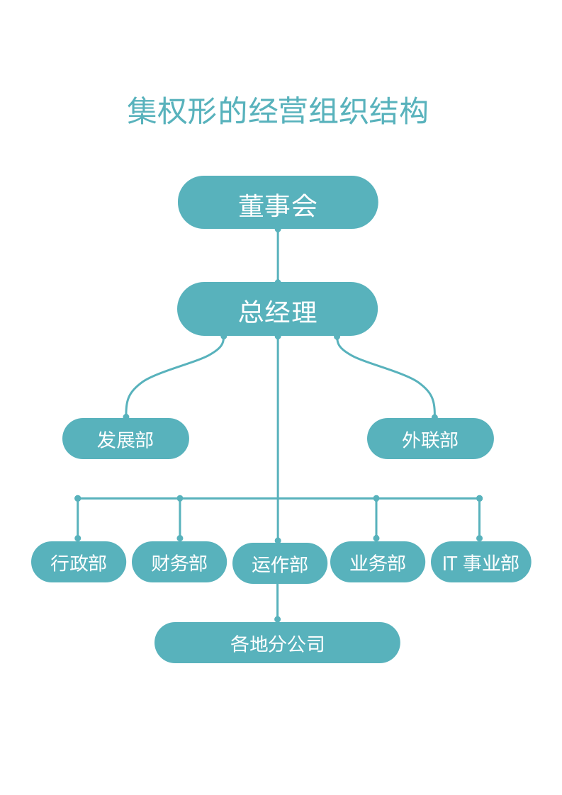 集权形的经营组织结构.docx