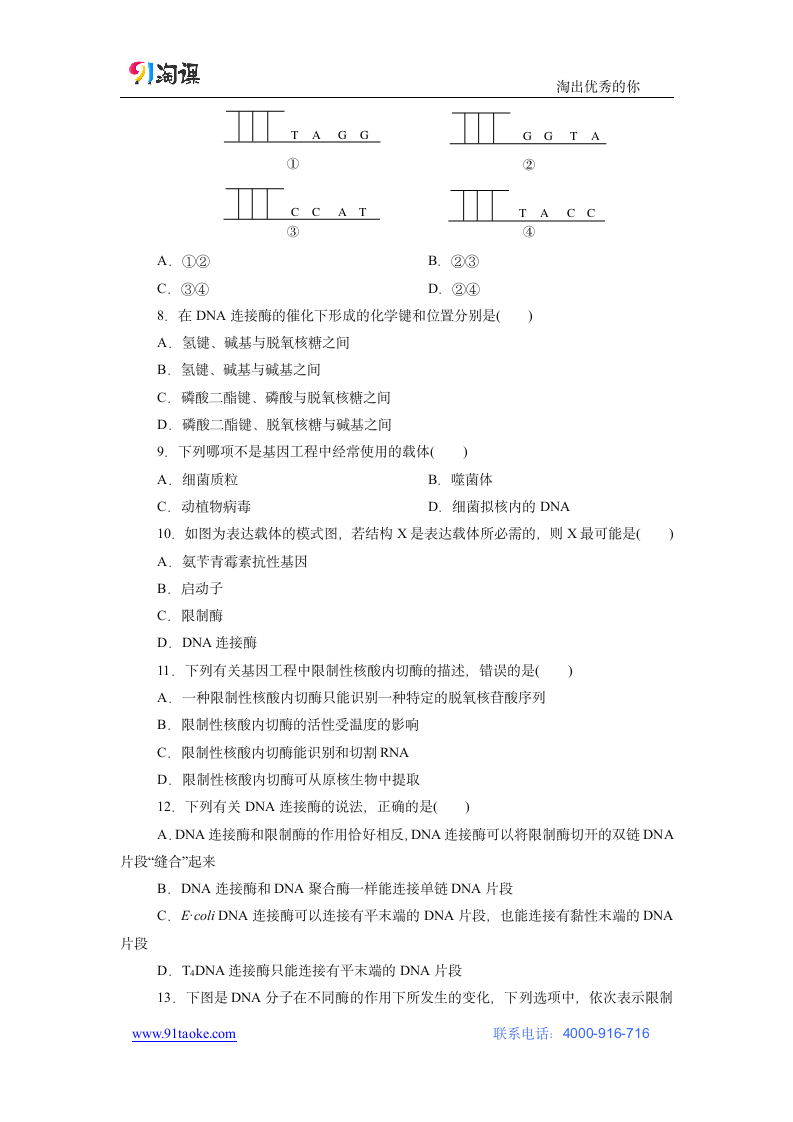 生物-人教版-选修3-课时作业5：1.1 DNA重组技术的基本工具.docx-专题1 基因工程-学案.docx第2页