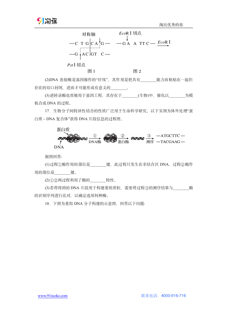 生物-人教版-选修3-课时作业5：1.1 DNA重组技术的基本工具.docx-专题1 基因工程-学案.docx第4页