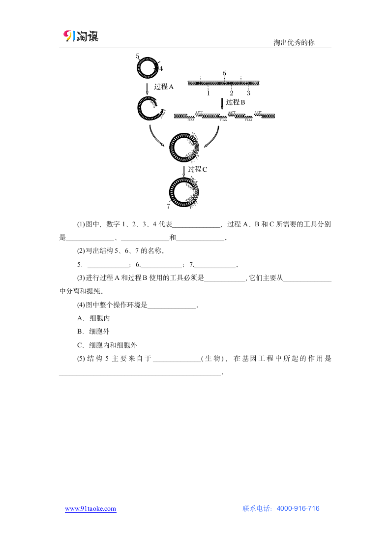 生物-人教版-选修3-课时作业5：1.1 DNA重组技术的基本工具.docx-专题1 基因工程-学案.docx第5页