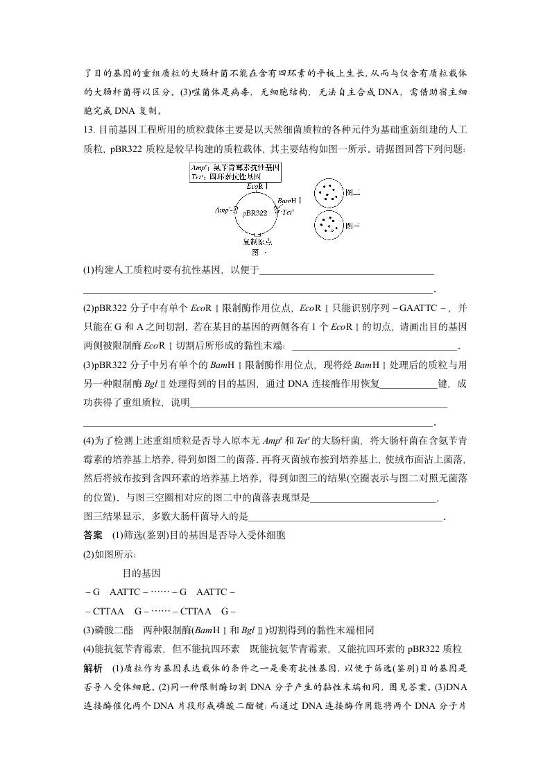 生物-人教版-选修3-课时作业20：1.1 DNA重组技术的基本工具.docx-专题1 基因工程-学案.docx第6页