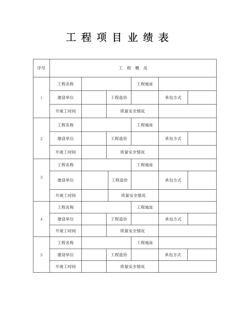 工程项目业绩表.doc第1页