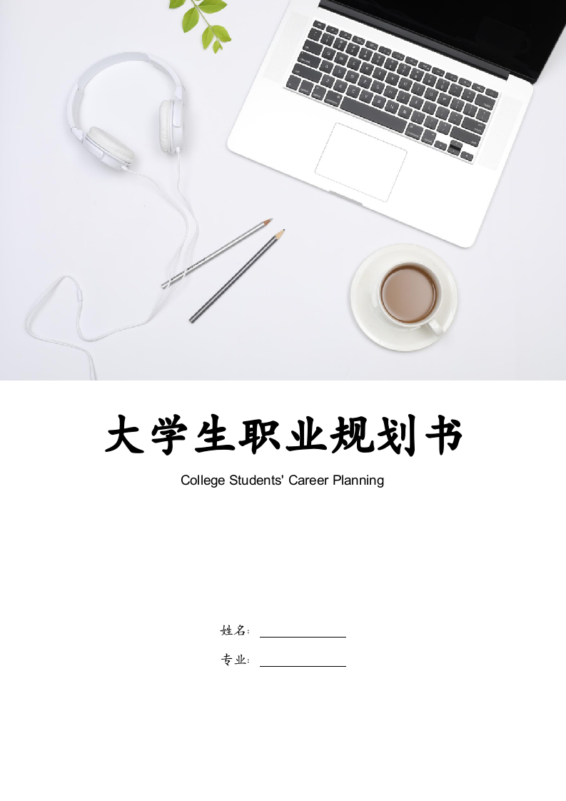 大学生职业规划书.doc