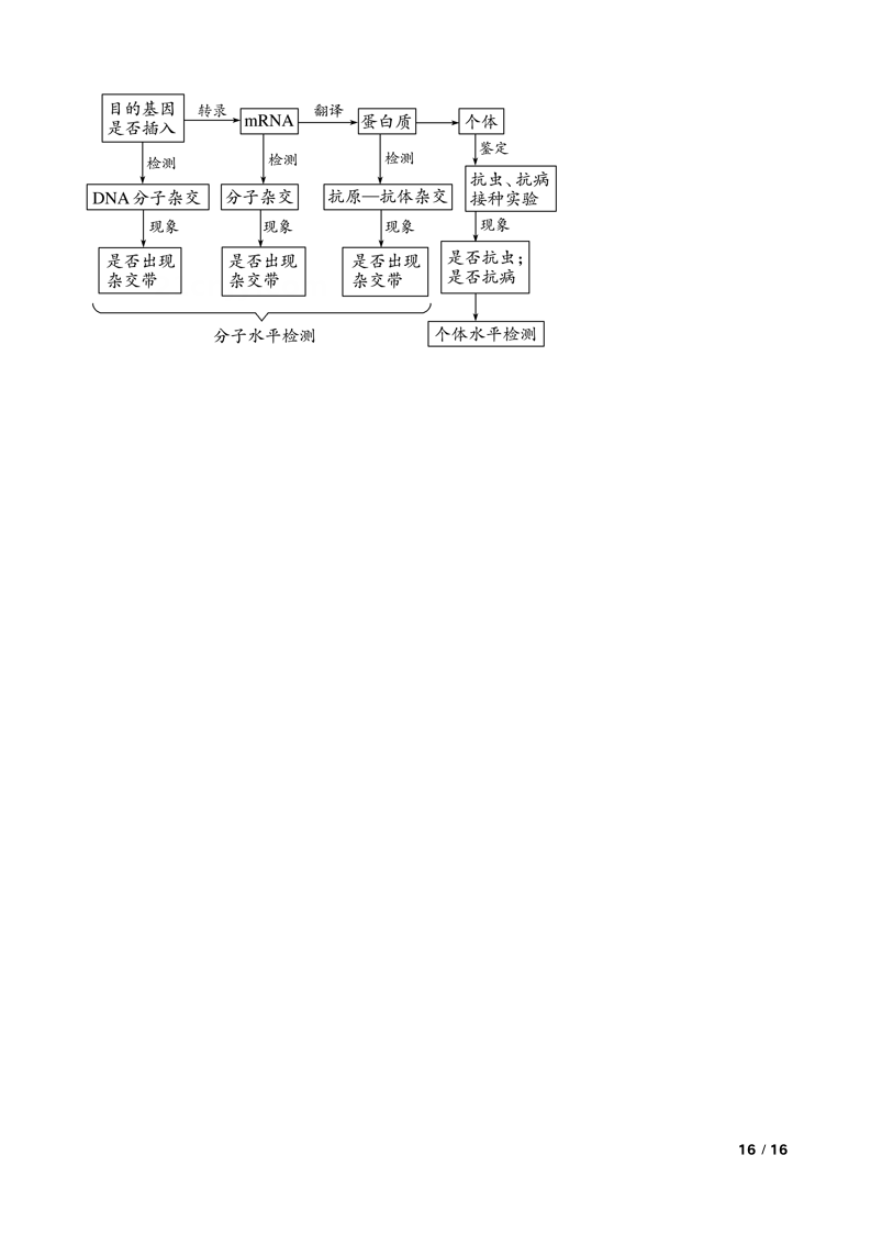 【高考真题】2023年高考理综生物真题试卷（全国甲卷）.doc第16页