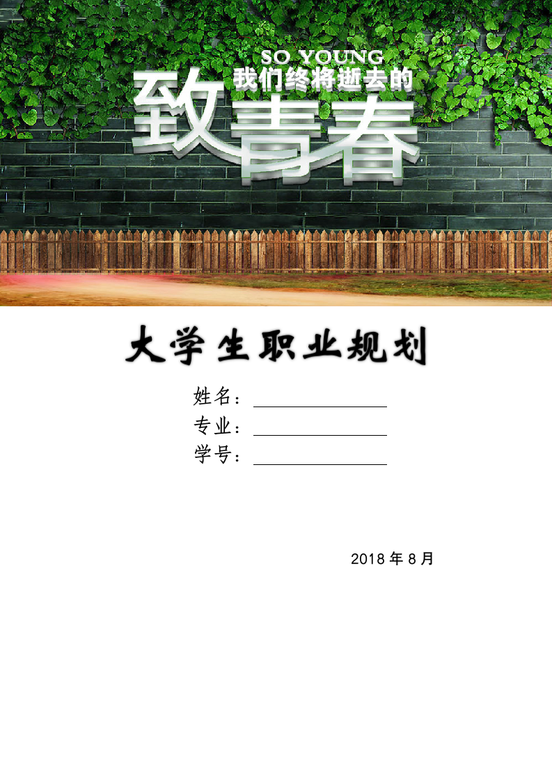 大学生职业生涯规划模板.docx