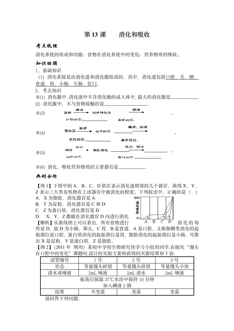 消化和吸收学案.doc第1页