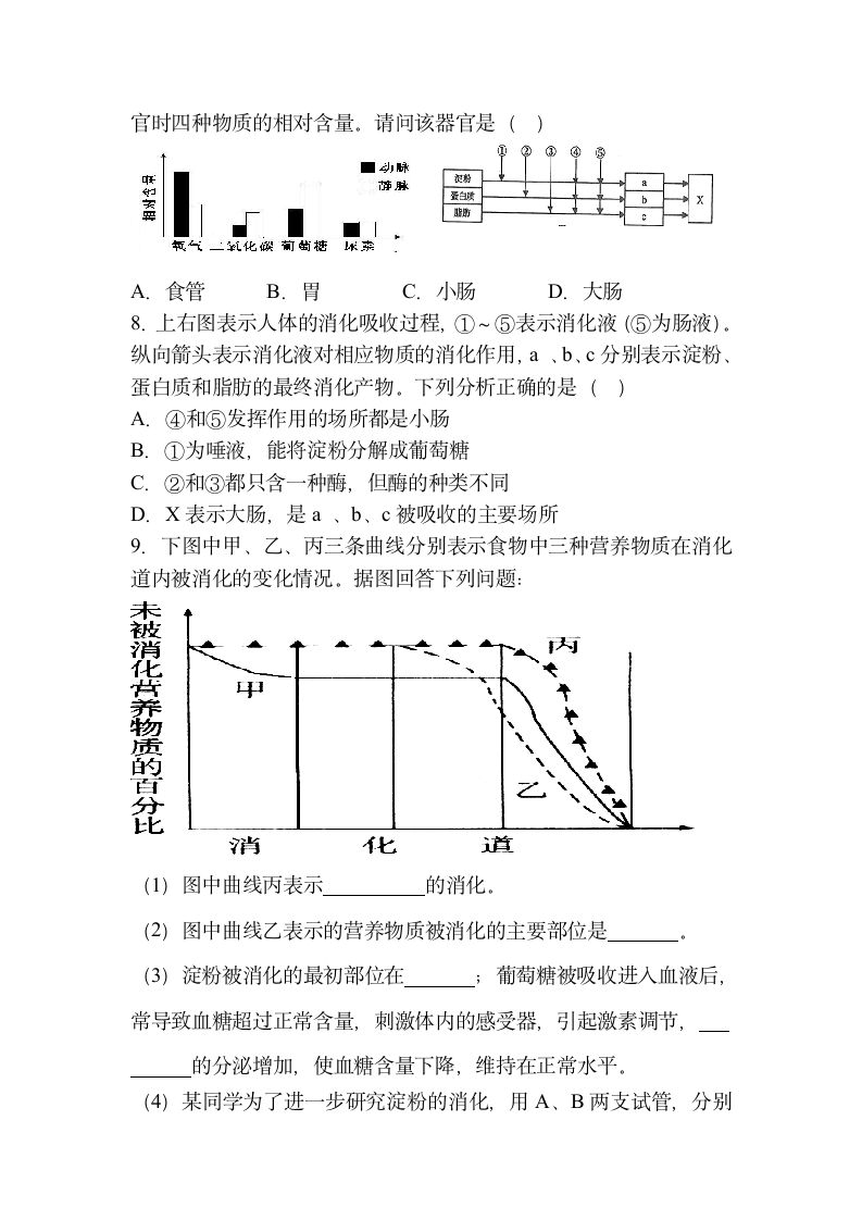 消化和吸收学案.doc第3页