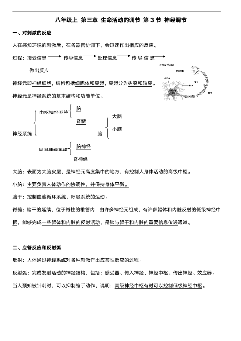 《自编课堂笔记》浙教版科学八年级上第3章生命活动的调节（新版）.doc第5页