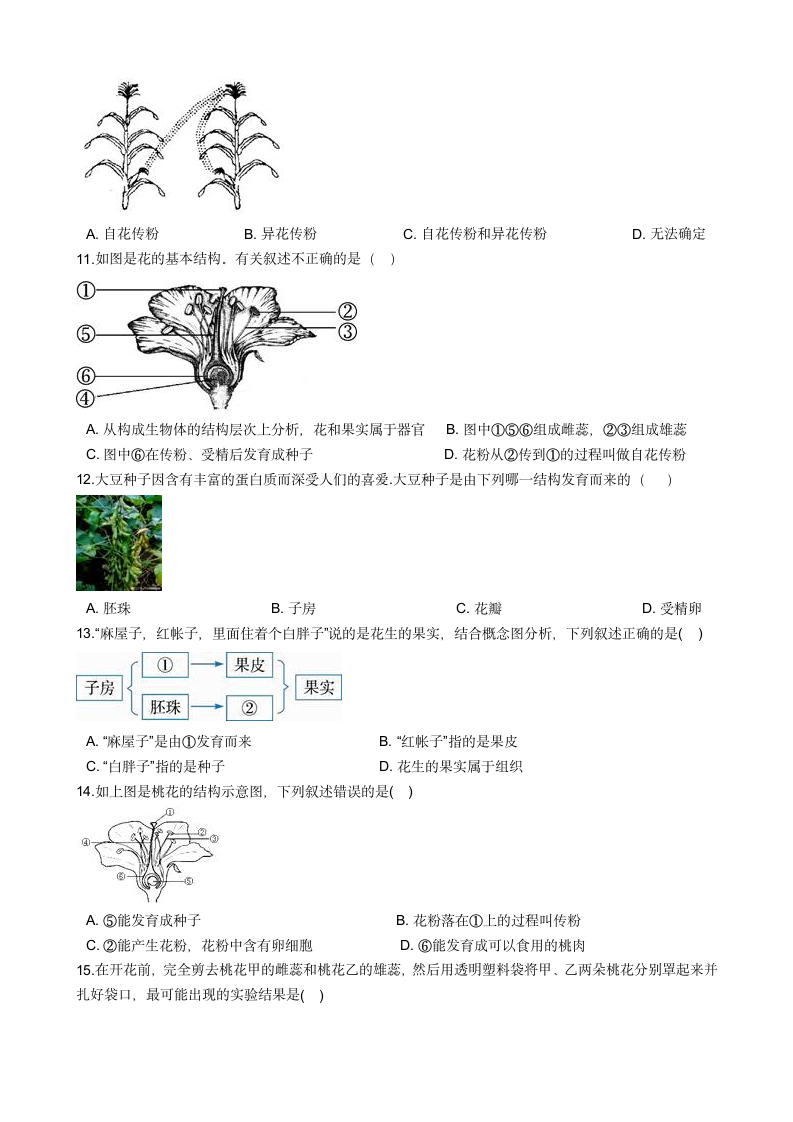 2020-2021学年华东师大版科学七年级下册7.1绿色开花植物的有性生殖和发育 同步练习(含解析).doc第2页