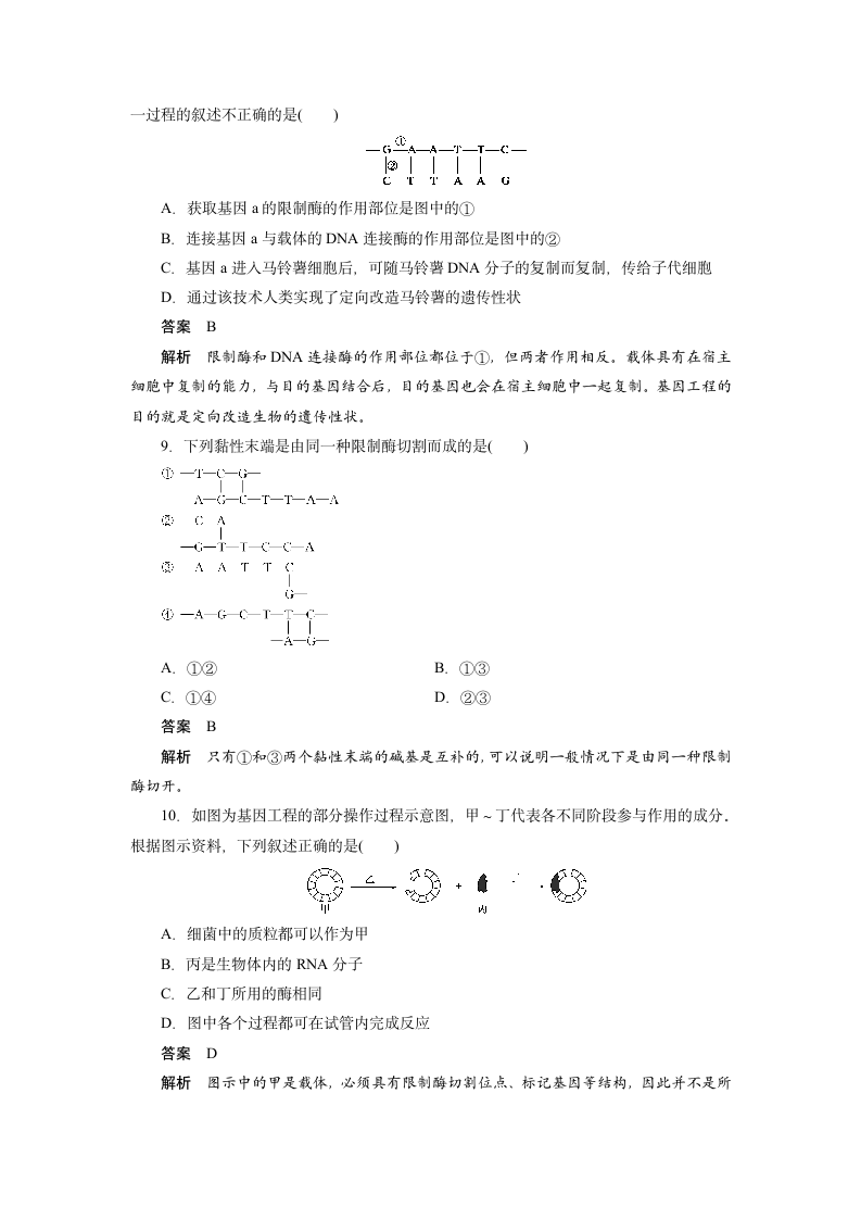 生物-人教版-选修3-课时作业16：1.1 DNA重组技术的基本工具.doc-专题1 基因工程-学案.doc第3页