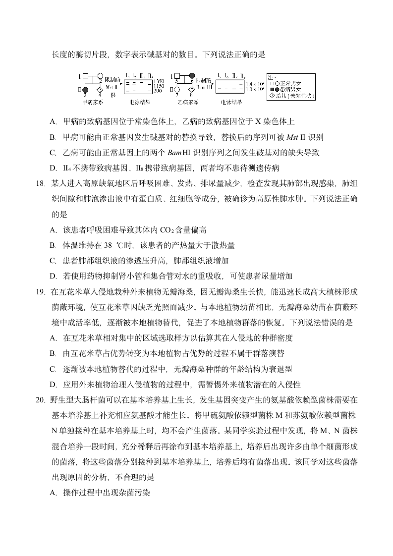 2020年新高考卷Ⅰ生物(山东)高考真题第6页