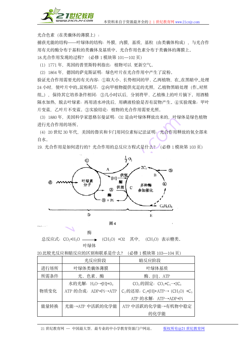 生物：细胞的代谢知识点解读学案.doc第3页