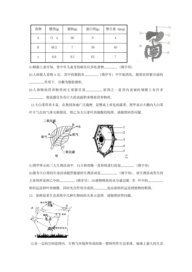 2022年安徽省初中学业水平考试押题卷（四） 生物试卷（word版含答案）.doc第4页