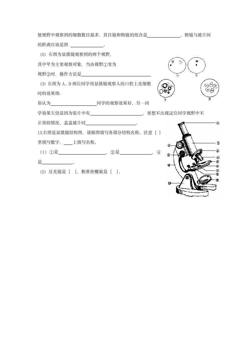 《第二节 中学生物学实验的常用工具》同步练习2.doc第3页