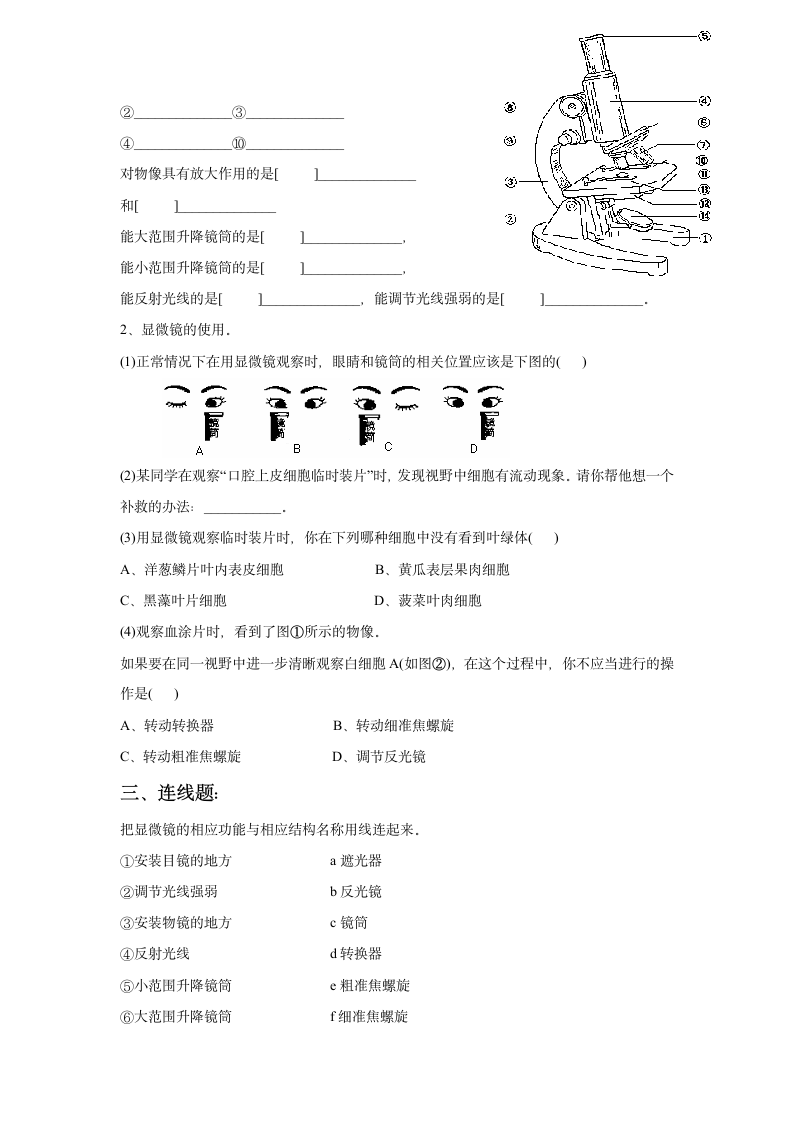 《第二节 中学生物学实验的常用工具》同步练习1.doc第2页