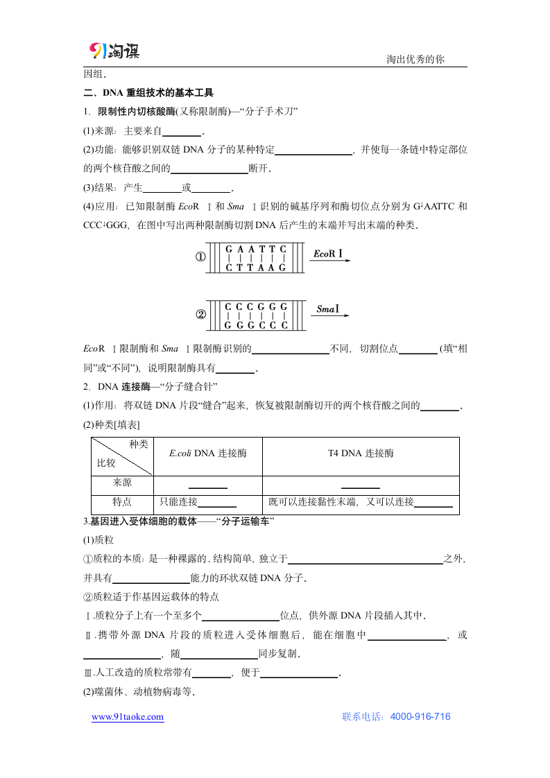 生物-人教版（新教材）-选择性必修3-学案2：3.1 重组DNA技术的基本工具.docx-第1节　重组DNA技术的基本工具-第3章　基因工程-学案.docx第2页