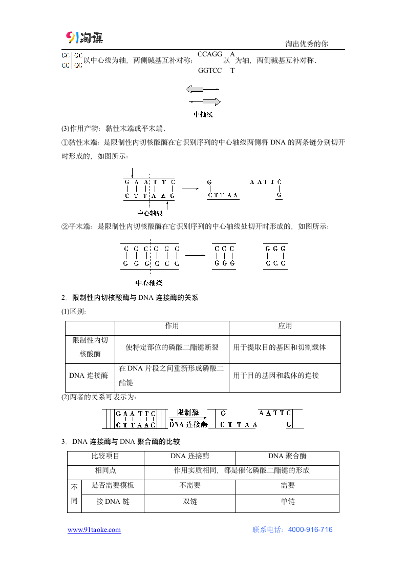 生物-人教版（新教材）-选择性必修3-学案2：3.1 重组DNA技术的基本工具.docx-第1节　重组DNA技术的基本工具-第3章　基因工程-学案.docx第4页