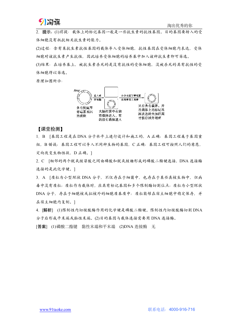 生物-人教版（新教材）-选择性必修3-学案2：3.1 重组DNA技术的基本工具.docx-第1节　重组DNA技术的基本工具-第3章　基因工程-学案.docx第9页