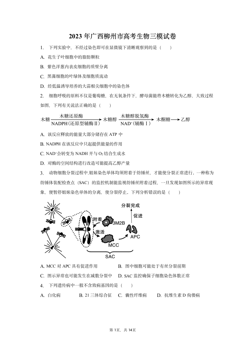 2023年广西柳州市高考生物三模试卷（含解析）.doc第1页