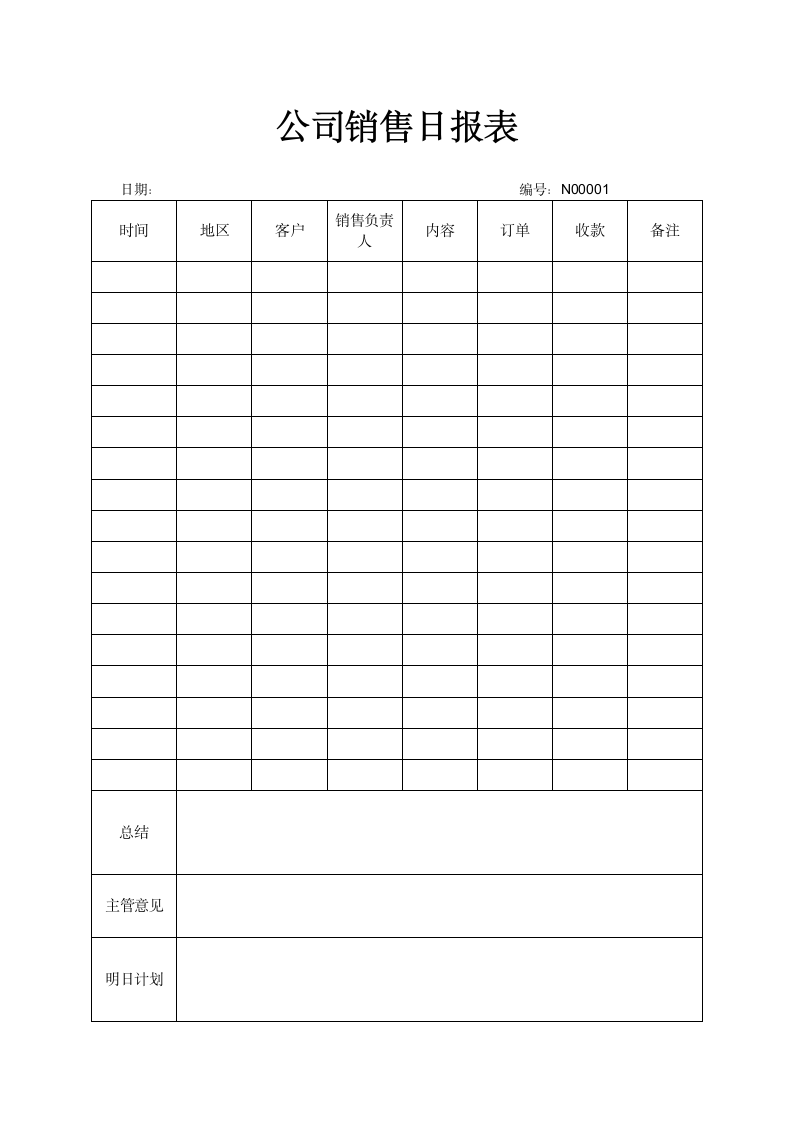 公司销售日报表.docx第1页