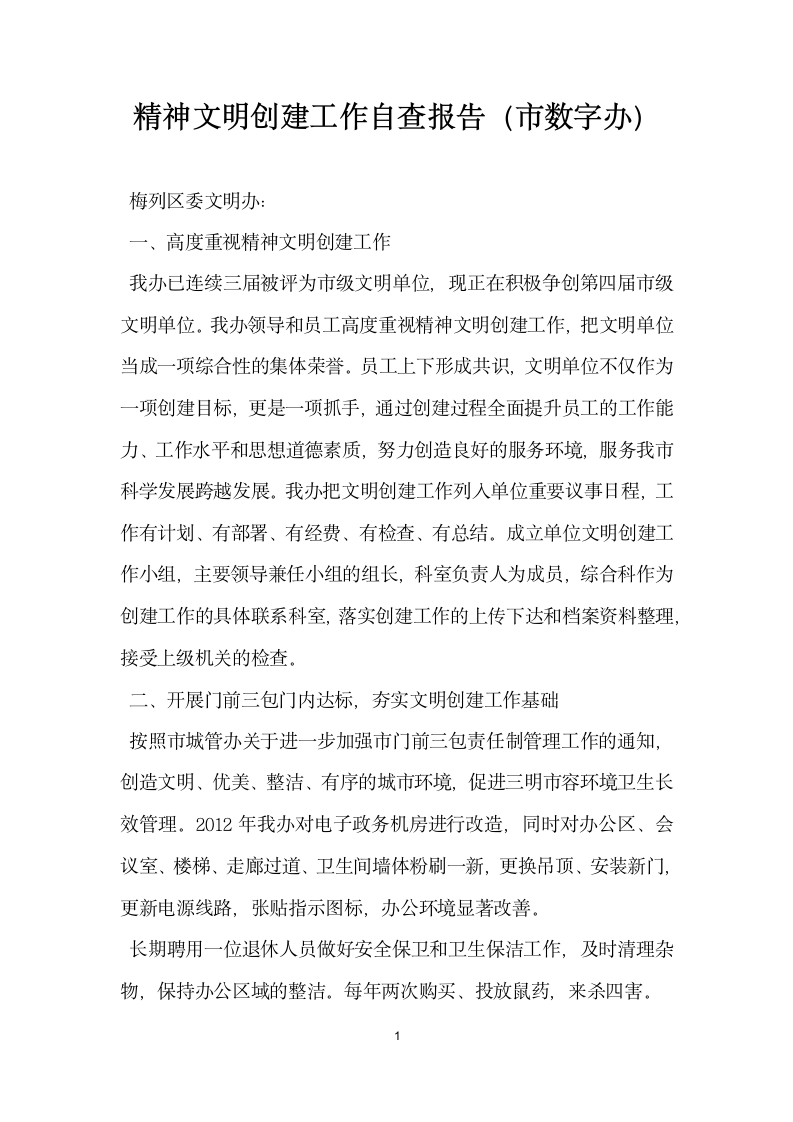 精神文明创建工作自查报告市数字办.docx