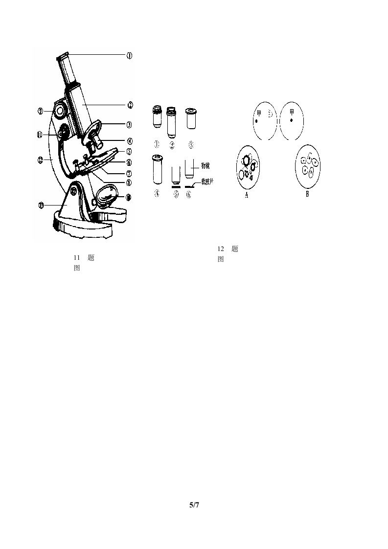 人教版七年级生物上册：2.1.1 练习使用显微镜  教案.doc第5页