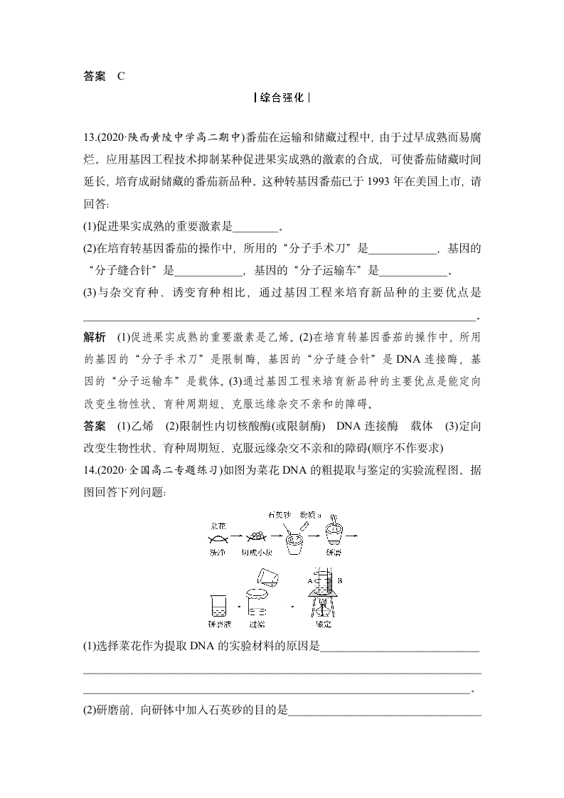 生物-人教版（新教材）-选择性必修3-课时作业2：3.1 重组DNA技术的基本工具.docx-第1节　重组DNA技术的基本工具-第3章　基因工程-学案.docx第6页