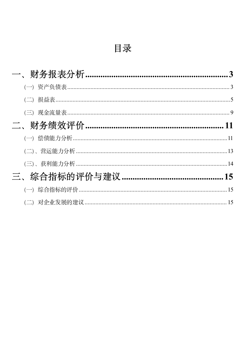 XX公司财务分析模板.doc第2页