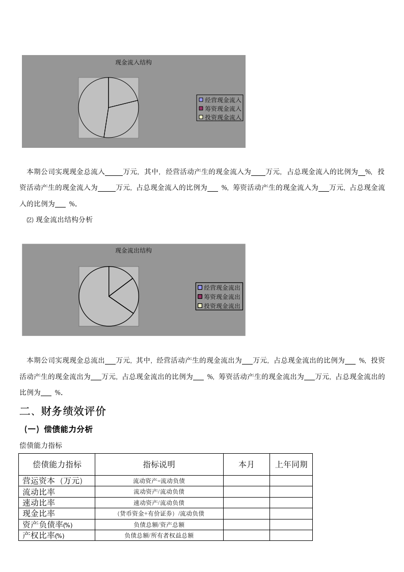 XX公司财务分析模板.doc第11页